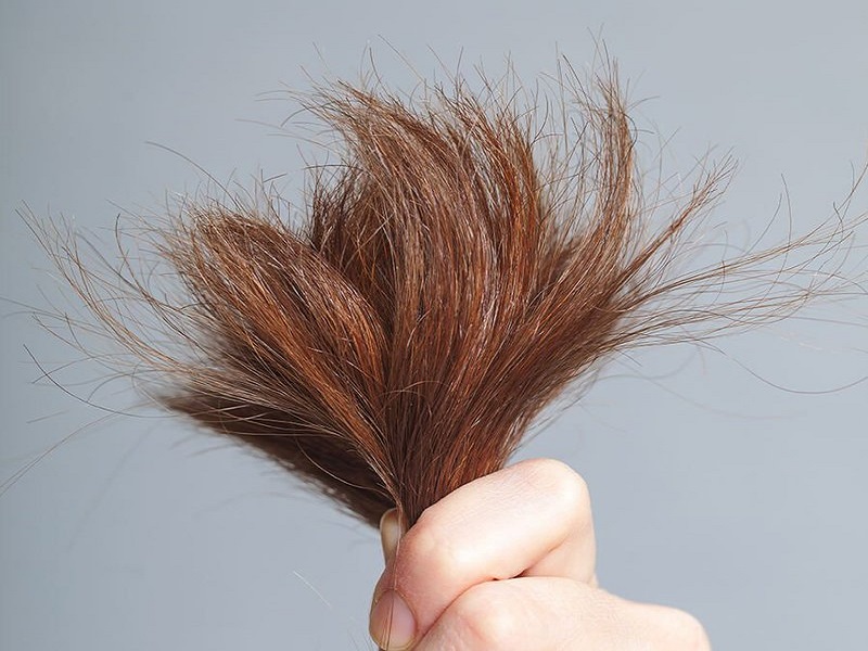 Những phương pháp “thần thánh” giúp phục hồi sâu tình trạng tóc khô xơ